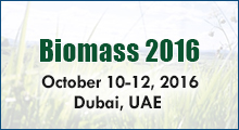 Biomass Conferences Biomass Conferences