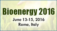 Bioenergy Conferences Bioenergy Conferences
