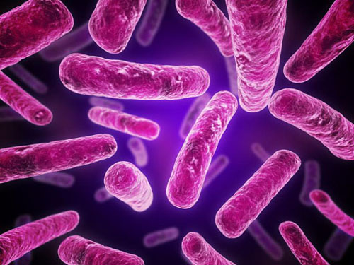 Free Download The Cure For All Diseases PDF Here