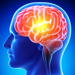 brain fever media circular studio 1.2 brain fever media circular studio 1.2