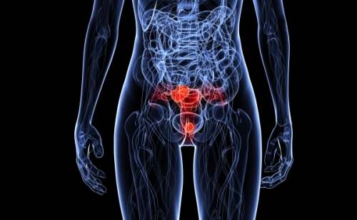 a fájdalom az alsó hátán a prostatitis