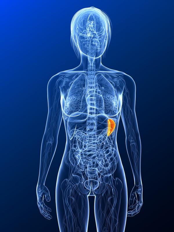 How To Know You Have An Enlarged Spleen