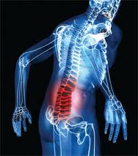 Research papers on ergonomics and musculoskeletal disorders