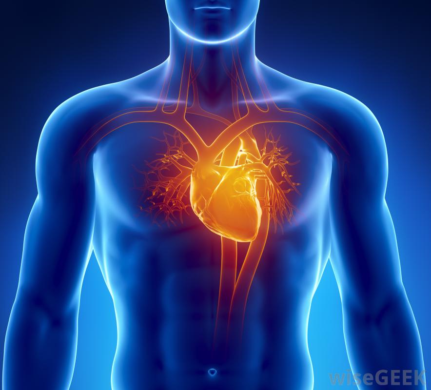 Heart diseases & Genetics