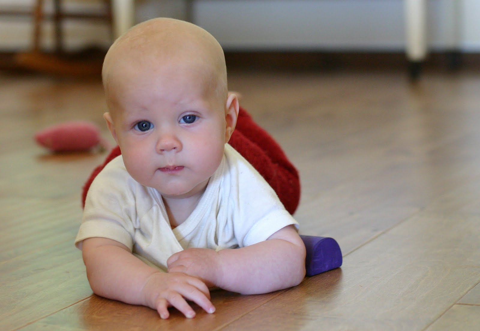 Horner syndrome Israel PDF PPT Case Reports Symptoms Treatment