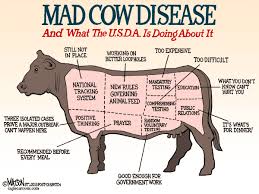Mad cow disease articles