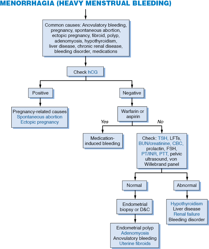 menorrhagia australia pdf ppt case reports symptoms treatment menorrhagia