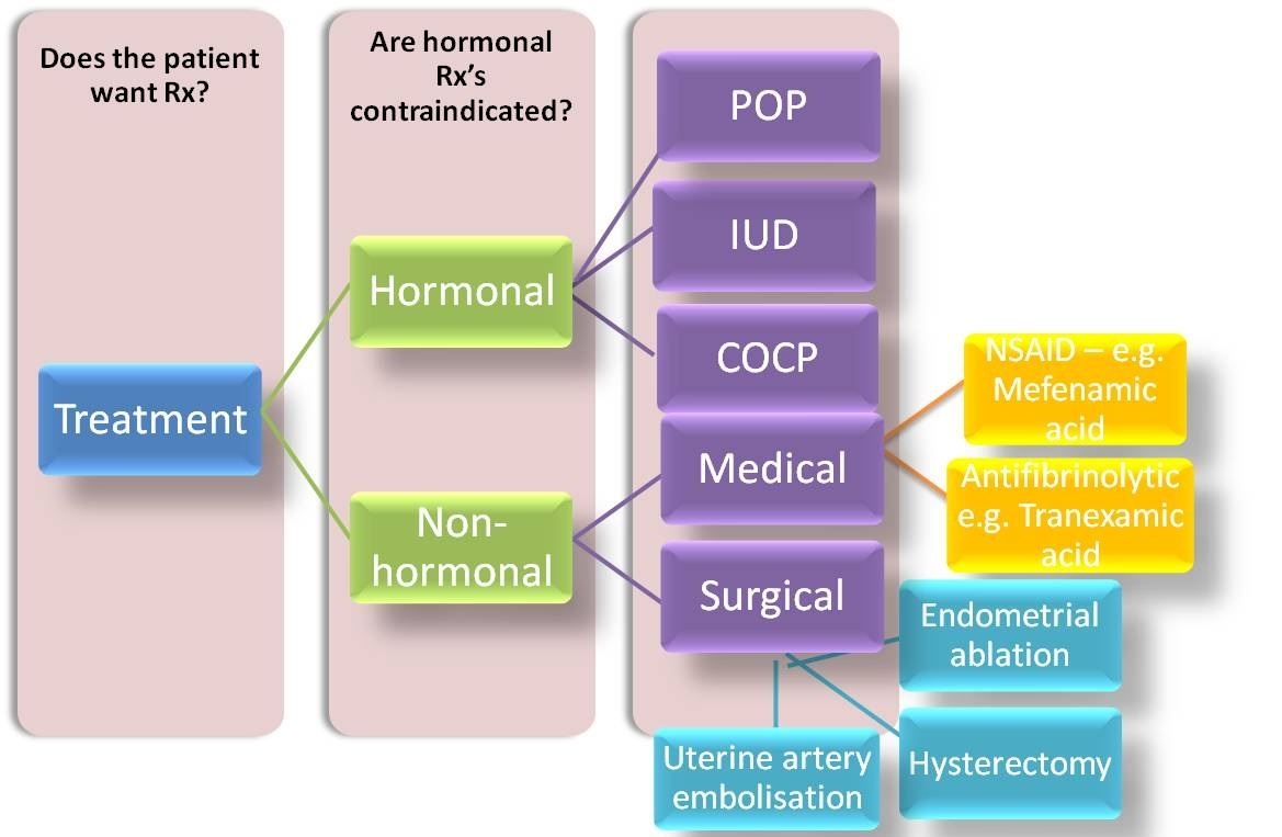 menorrhagia france pdf ppt case reports symptoms treatment menorrhagia