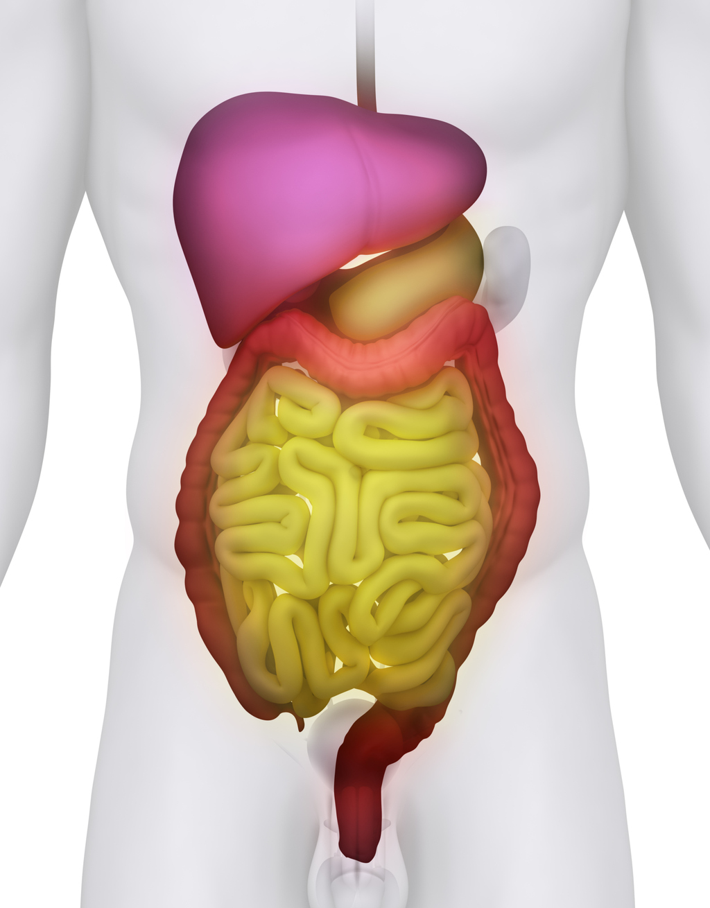 Abdominal Mesenteric Lymph Nodes