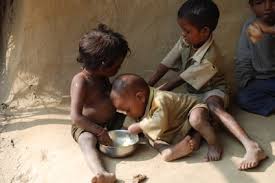 micronutrient malnutrition netherlands pdf ppt case reports