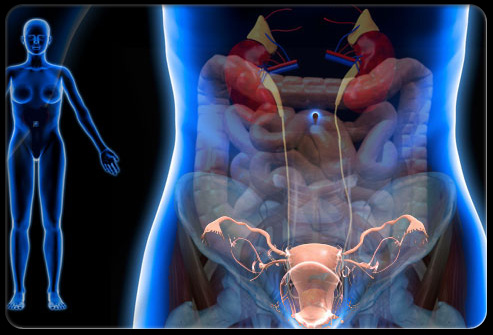 Mittelschmerz | Italy| PDF | PPT| Case Reports | Symptoms | Treatment