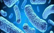 Multidrug-Resistant TB