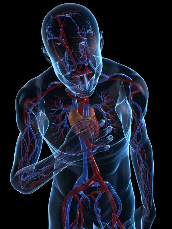 Methods for treating myocardial infarction comprising adminis... by Alain Lacampagne Methods for treating myocardial infarction comprising adminis... by Alain Lacampagne