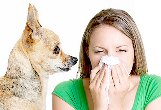 Pet Allergy