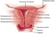 Vaginal agenesis