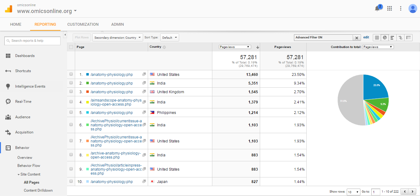 Visitor Analysis Report