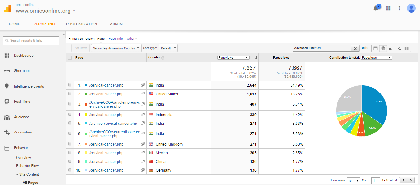 Visitor Analysis Report