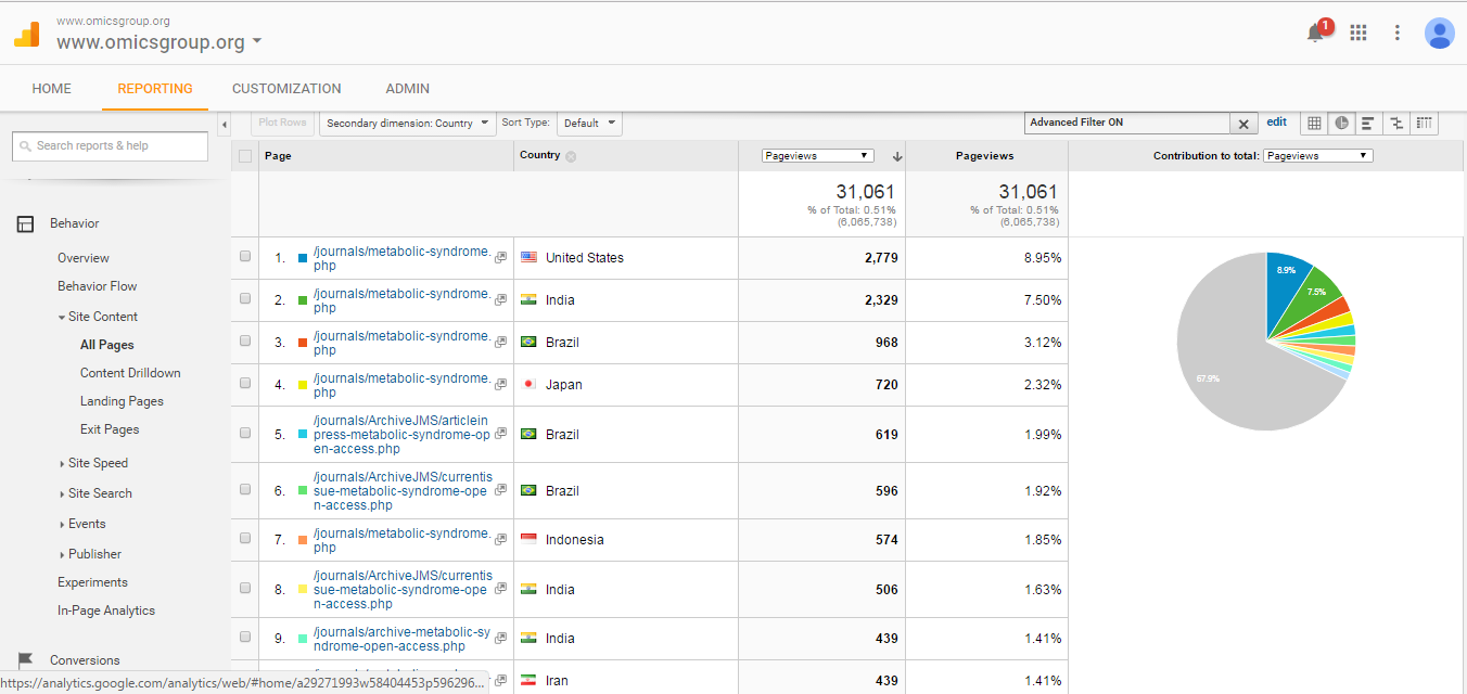 Visitor Analysis Report