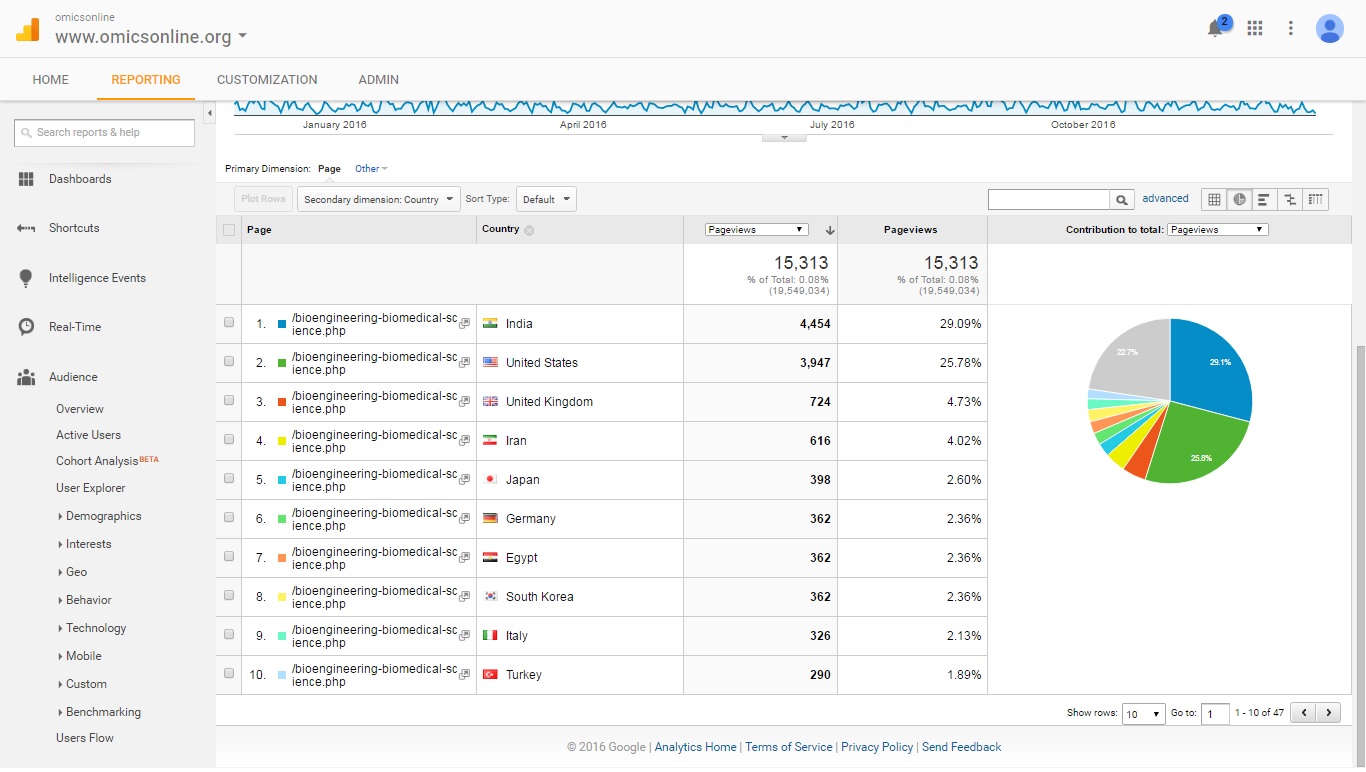 Visitor Analysis Report