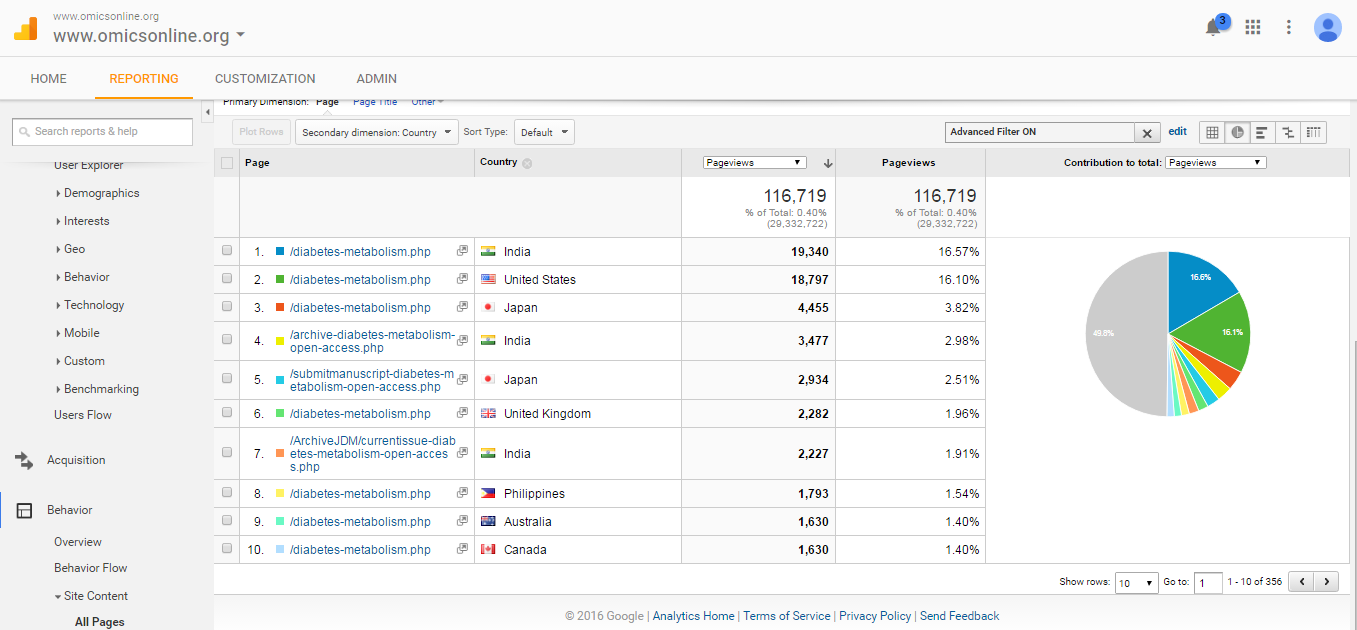 Visitor Analysis Report