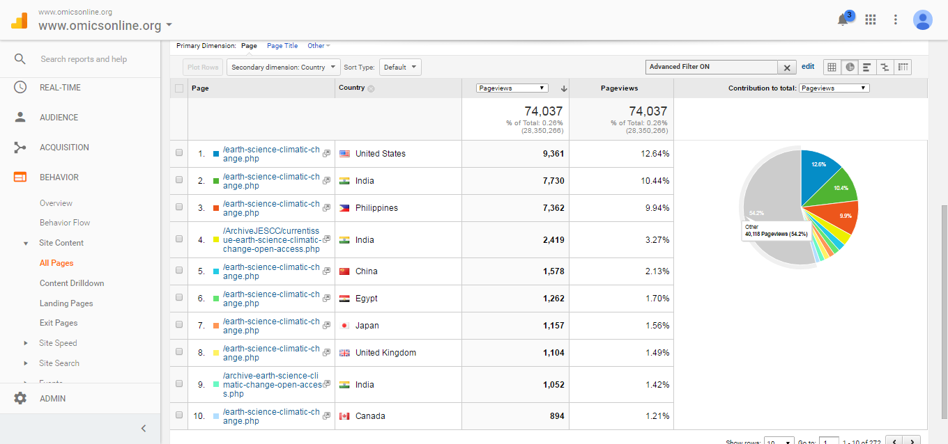 Visitor Analysis Report