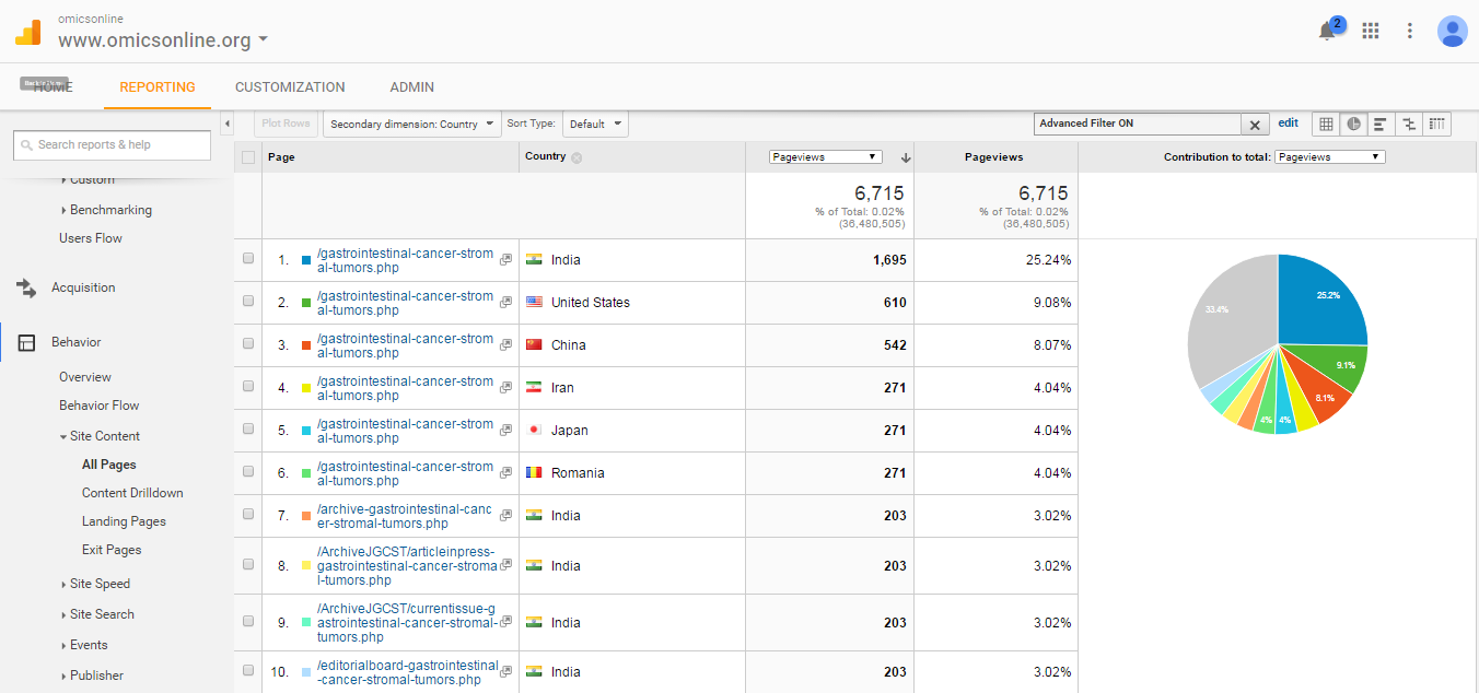 Visitor Analysis Report