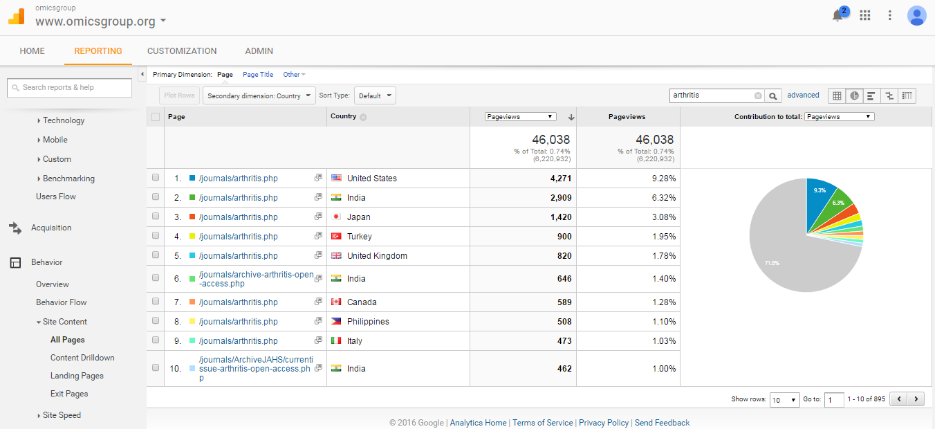 Visitor Analysis Report