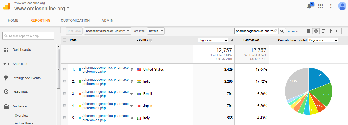 Visitor Analysis Report