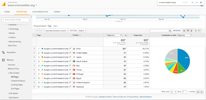 Visitor Analysis Report