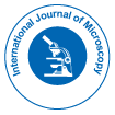 International Journal of Microscopy