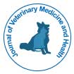 Journal of Veterinary Medicine and Health