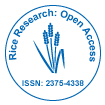 Rice Research: Open Access