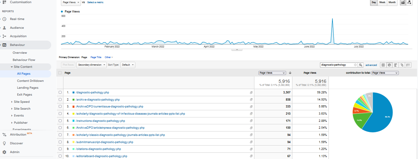 Visitor Analysis Report