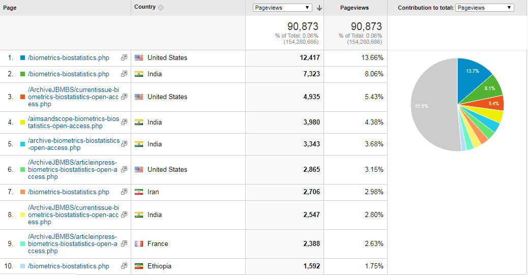 Visitor Analysis Report