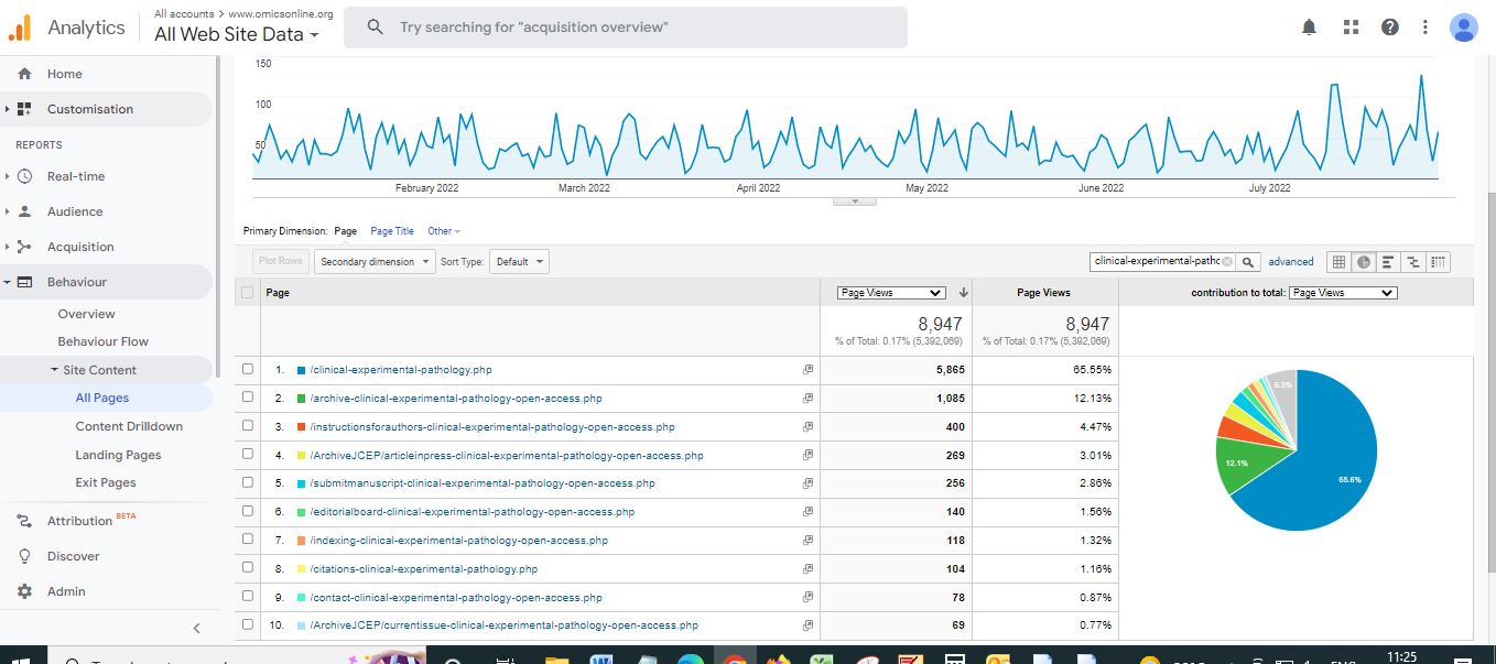 Visitor Analysis Report