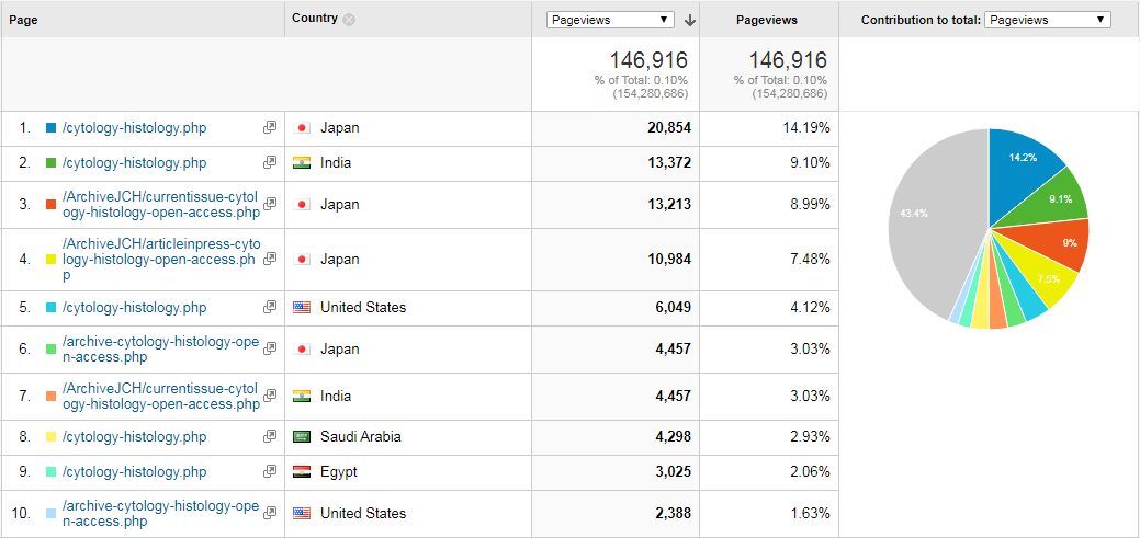 Visitor Analysis Report