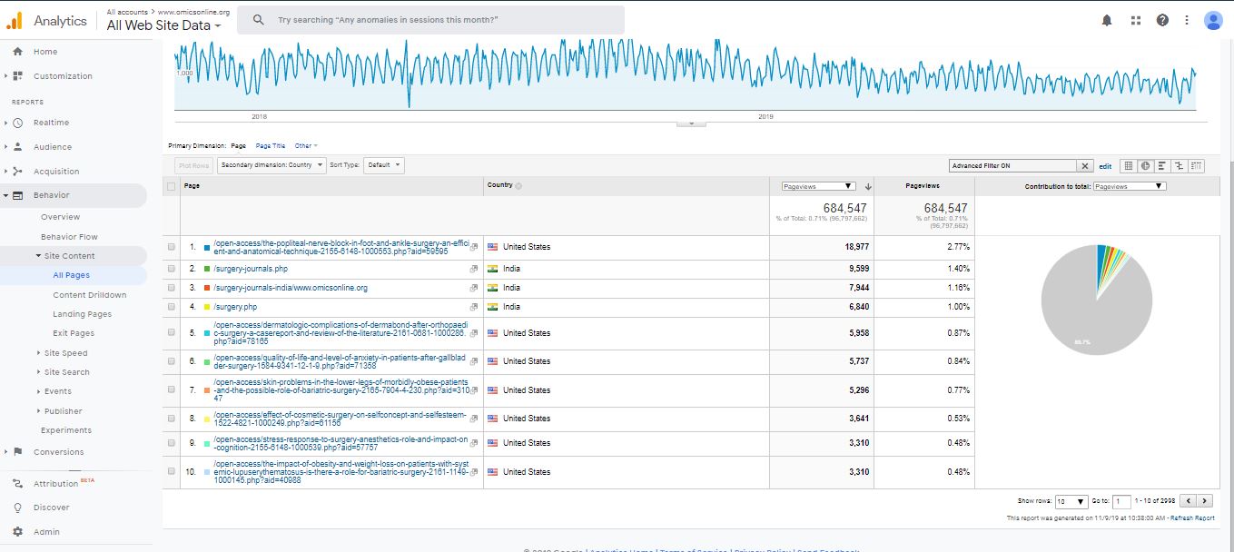 Visitor Analysis Report