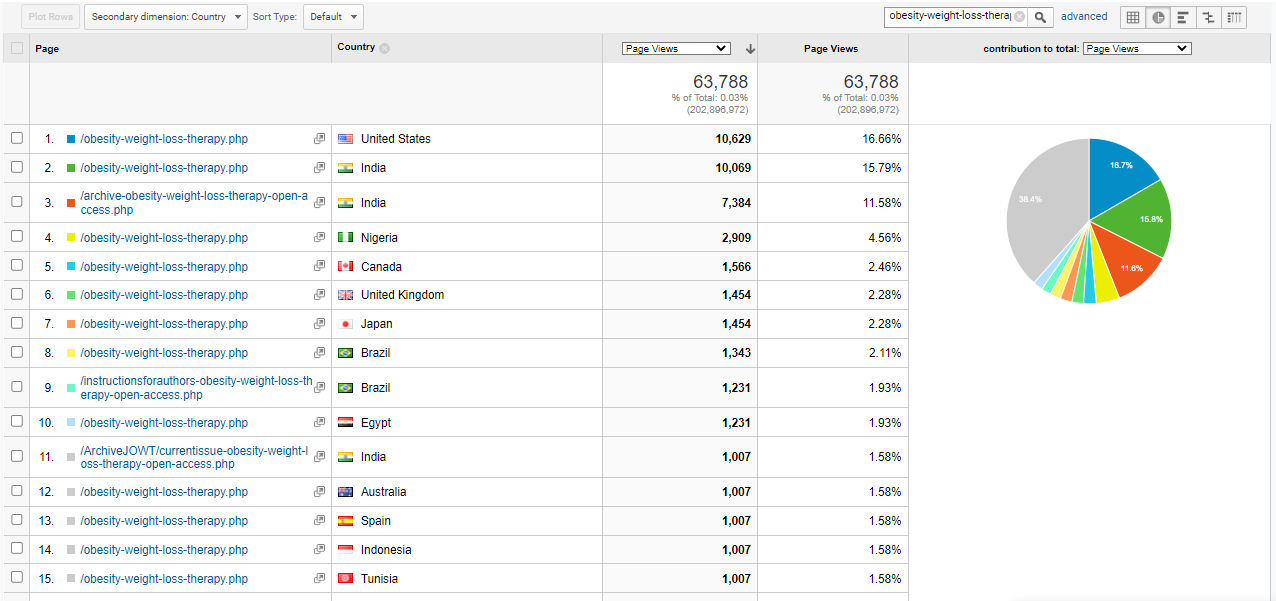 Visitor Analysis Report