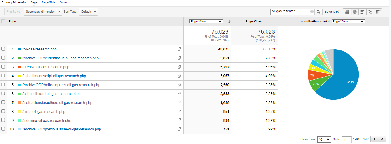 Visitor Analysis Report