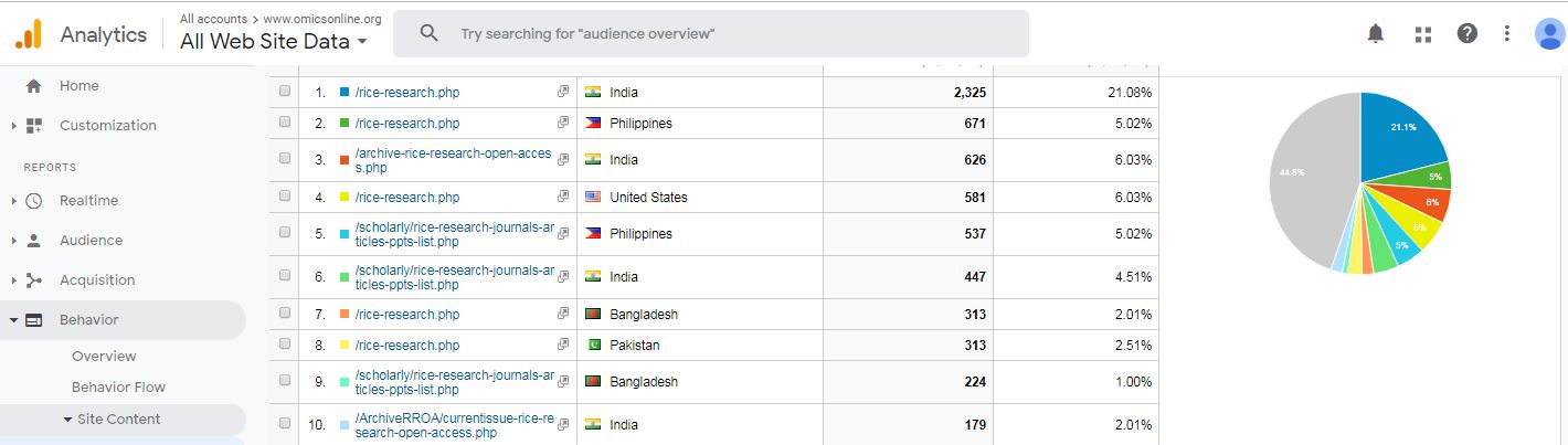 Visitor Analysis Report