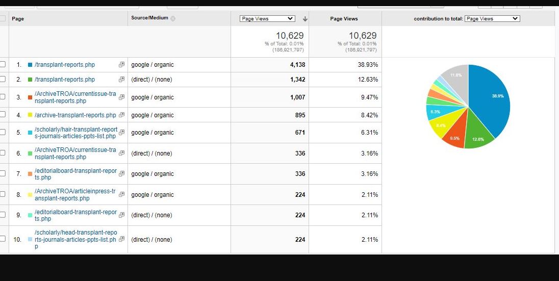 Visitor Analysis Report