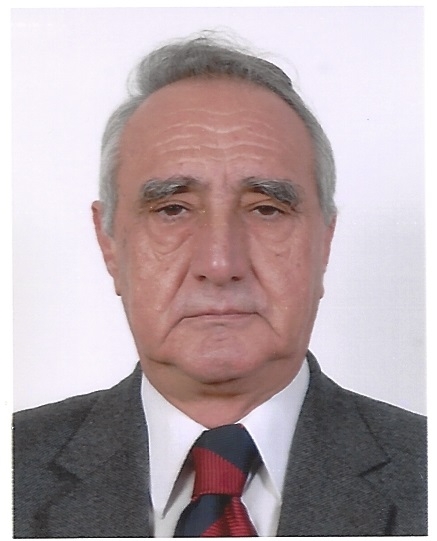 SOFRONIOS E. PAPOUTSOGLOU